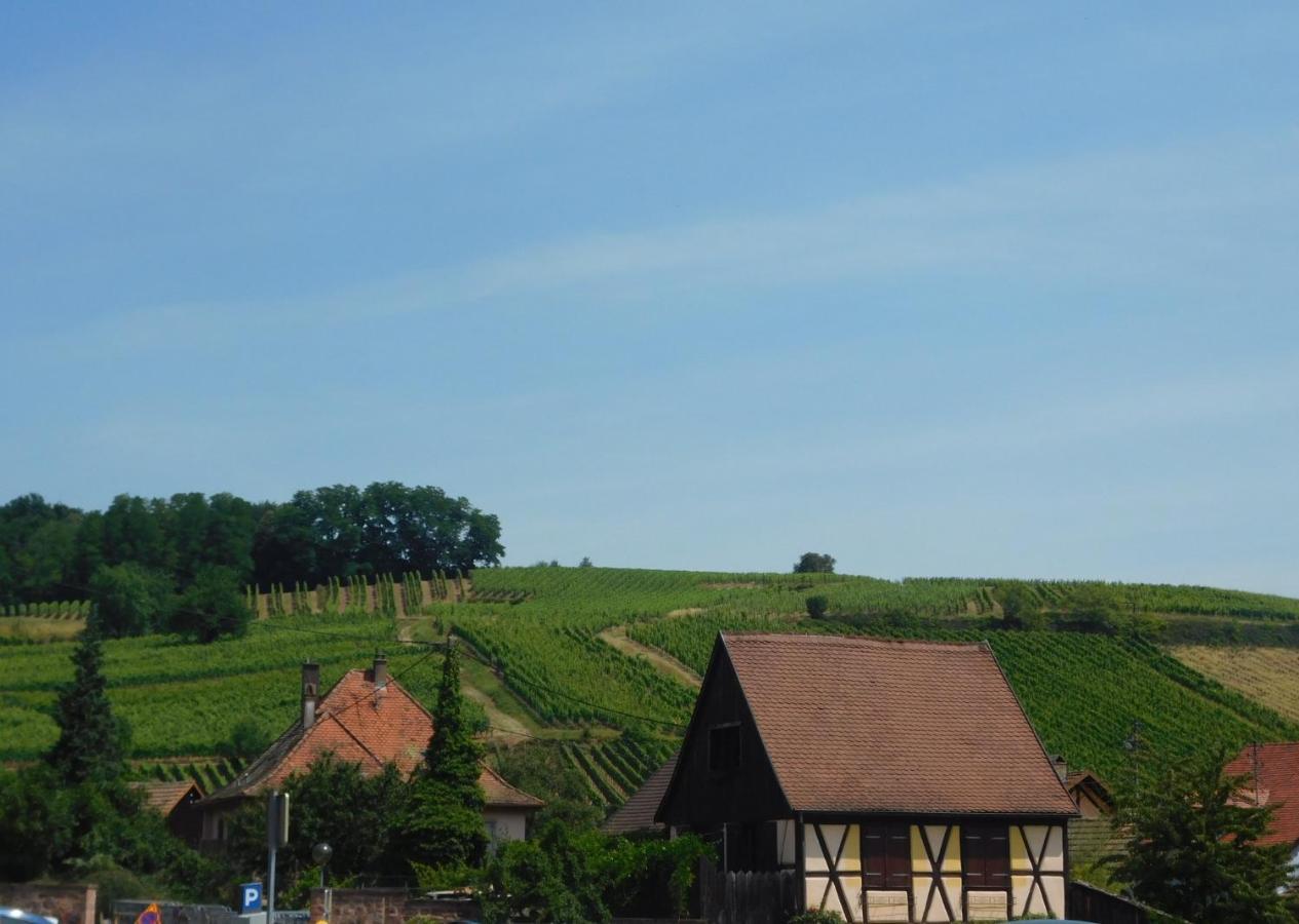 ריקוויר Gewurztraminer - Studio Au Pied Du Vignoble - Renove Recemment - Parking Gratuit מראה חיצוני תמונה