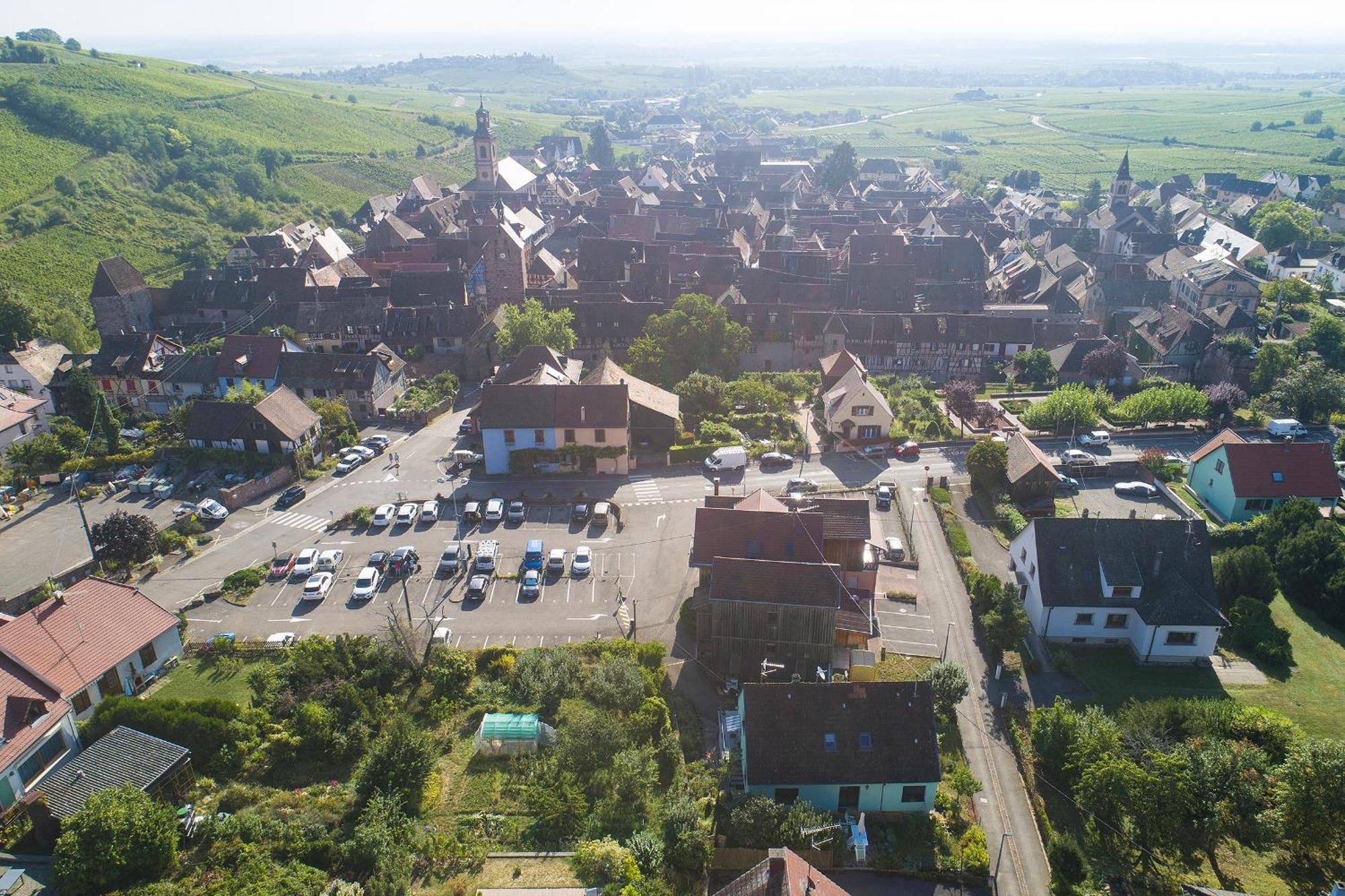 ריקוויר Gewurztraminer - Studio Au Pied Du Vignoble - Renove Recemment - Parking Gratuit מראה חיצוני תמונה